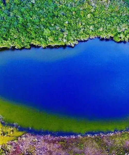 29352442_2261411414092325_1153769825450919923_o